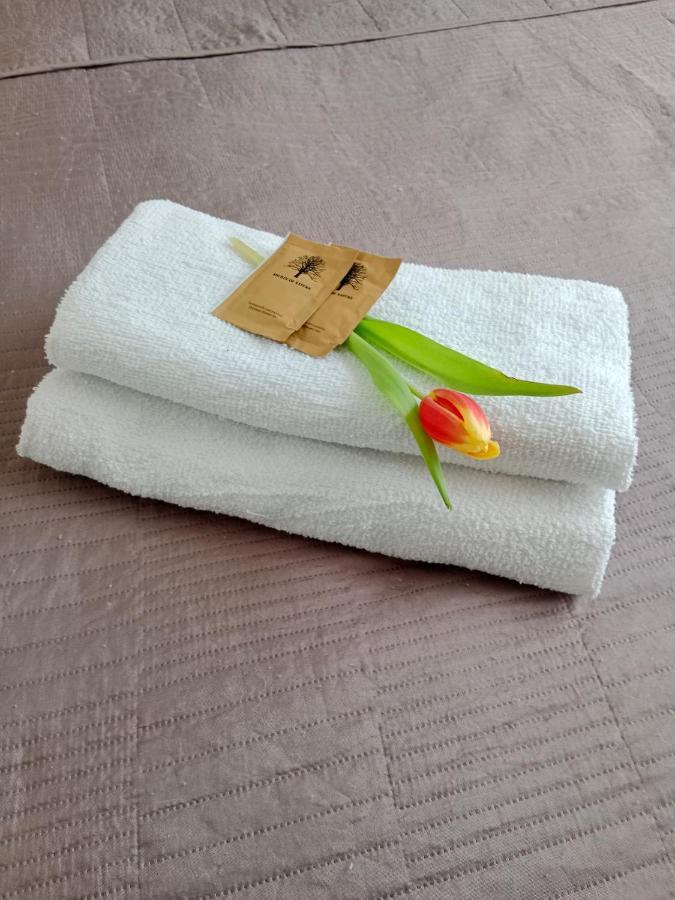 Apartament Glamour Chełm Eksteriør billede
